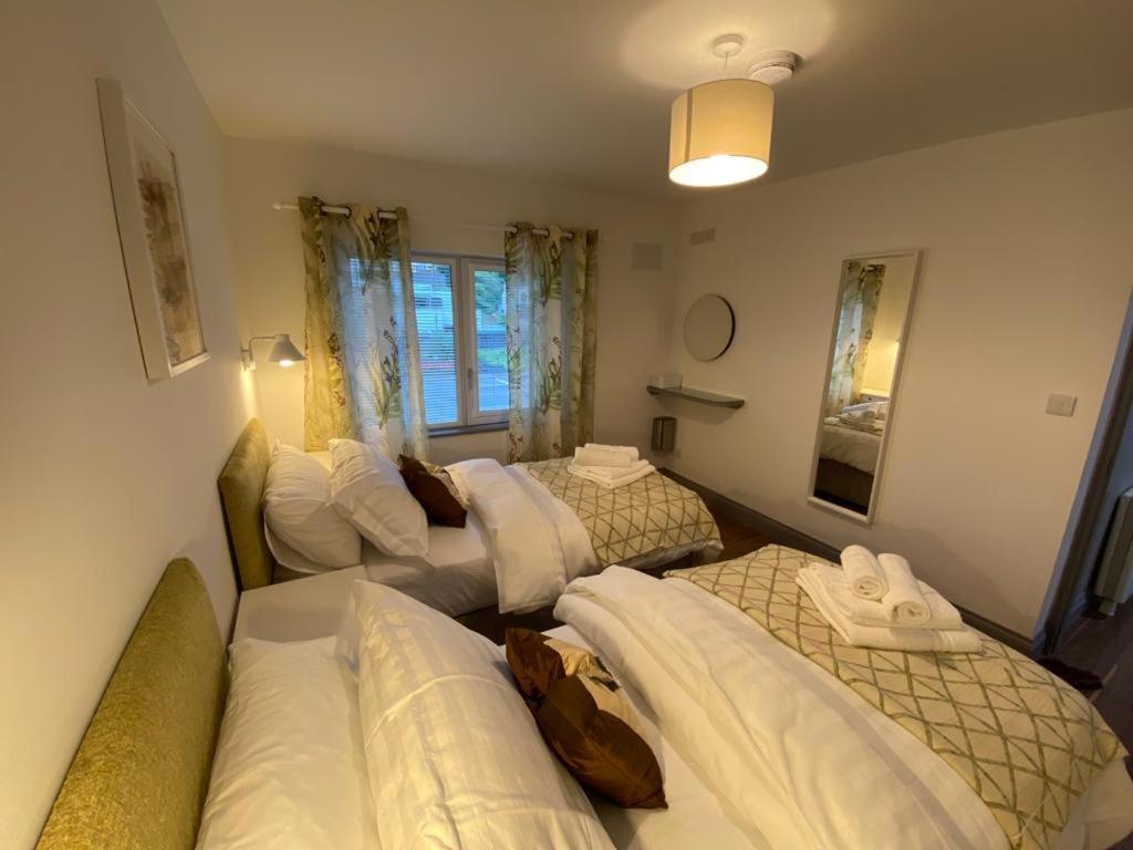 Location Location - Gorgeous 3 Bed Apartment In キラーニー エクステリア 写真